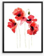 Poppies stripped bare Framed Art Print 41511336