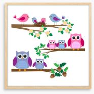 Owls and birds Framed Art Print 41811265