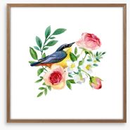 Birds Framed Art Print 418301131