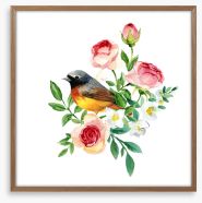 Birds Framed Art Print 418301207