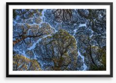 Leatherwood treescape Framed Art Print 419360972