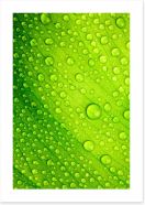 Green leaf drops Art Print 42979453
