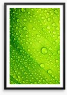 Green leaf drops Framed Art Print 42979453