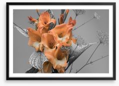 Gladiolus greys Framed Art Print 435076590