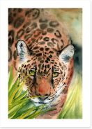 Animals Art Print 438774110