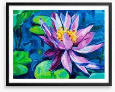 Water Lily Framed Art Print 44331511