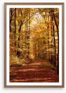 Autumn forest way Framed Art Print 44681076
