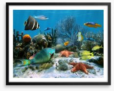 Underwater Framed Art Print 44721384