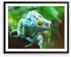 Reptiles / Amphibian Framed Art Print 44754927