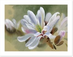 Majestic magnolia Art Print 45045660