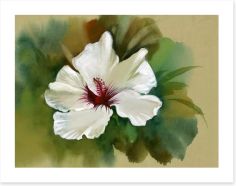 White hibiscus Art Print 45045665