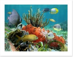 Underwater Art Print 45134680