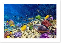 Life on the coral atoll Art Print 45134706