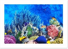 Vibrant coral and fish Art Print 45314314