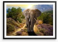 Elephant stroll Framed Art Print 45496510