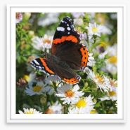 Insects Framed Art Print 45554378