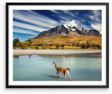 Torres del Paine National Park Framed Art Print 45649801