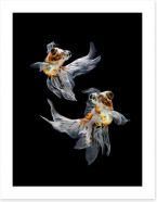 Fish / Aquatic Art Print 45671476
