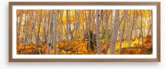 Autumn Framed Art Print 456959856