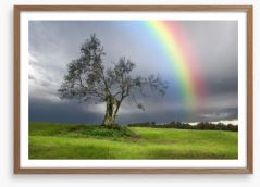 Rainbow over the olive tree Framed Art Print 45729800