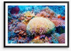 Tropical reef Framed Art Print 45845543