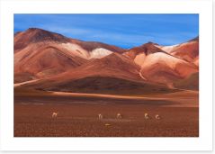 Desert Art Print 45921781