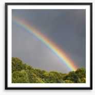 Rainbows Framed Art Print 46349808