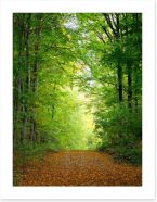 Green forest clearing Art Print 46460628