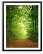 Green forest clearing Framed Art Print 46460628