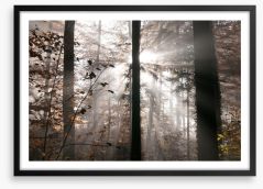 Autumn forest sunbeam Framed Art Print 46810700
