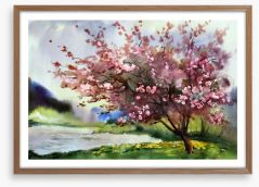 Blossoming storm Framed Art Print 46837890