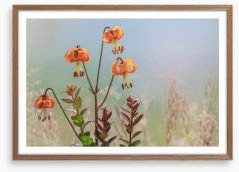 Tiger lily time Framed Art Print 472880602