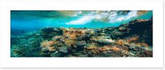 Underwater Art Print 473834570