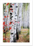 Autumn birch Art Print 47391445