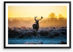 Deer in the mist Framed Art Print 47402407