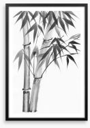 Bamboo watercolour Framed Art Print 48154647
