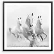 Wild white horses Framed Art Print 48172721