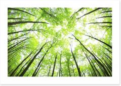Green forest canopy Art Print 48198194