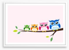 Rainbow owls Framed Art Print 48296455
