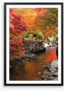 Autumn maple stream Framed Art Print 48422660