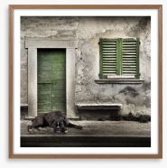 Boxer by the green door Framed Art Print 48427069