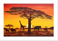 African sunset Art Print 48838915