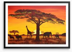 African sunset Framed Art Print 48838915