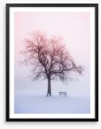 Winter tree in foggy sunrise Framed Art Print 49035022