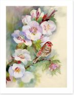 Apple blossom bird Art Print 49311694