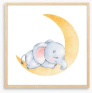 Elephant moon Framed Art Print 496389502