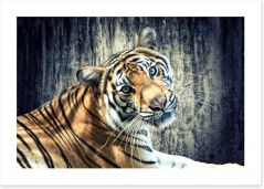 Bengal tiger Art Print 49749132