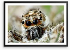 Insects Framed Art Print 49837960