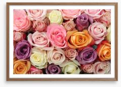 Mixed pastel roses Framed Art Print 50228420