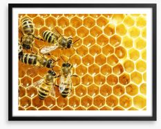 Insects Framed Art Print 50392142